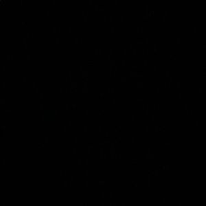 Meet your Posher, Bary